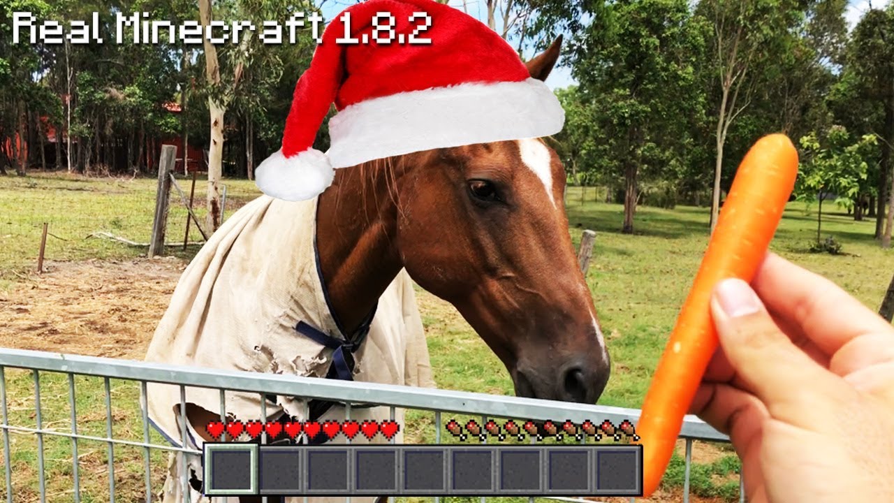 Real Life Minecraft - MERRY CHRISTMAS DOGS & HORSES!!