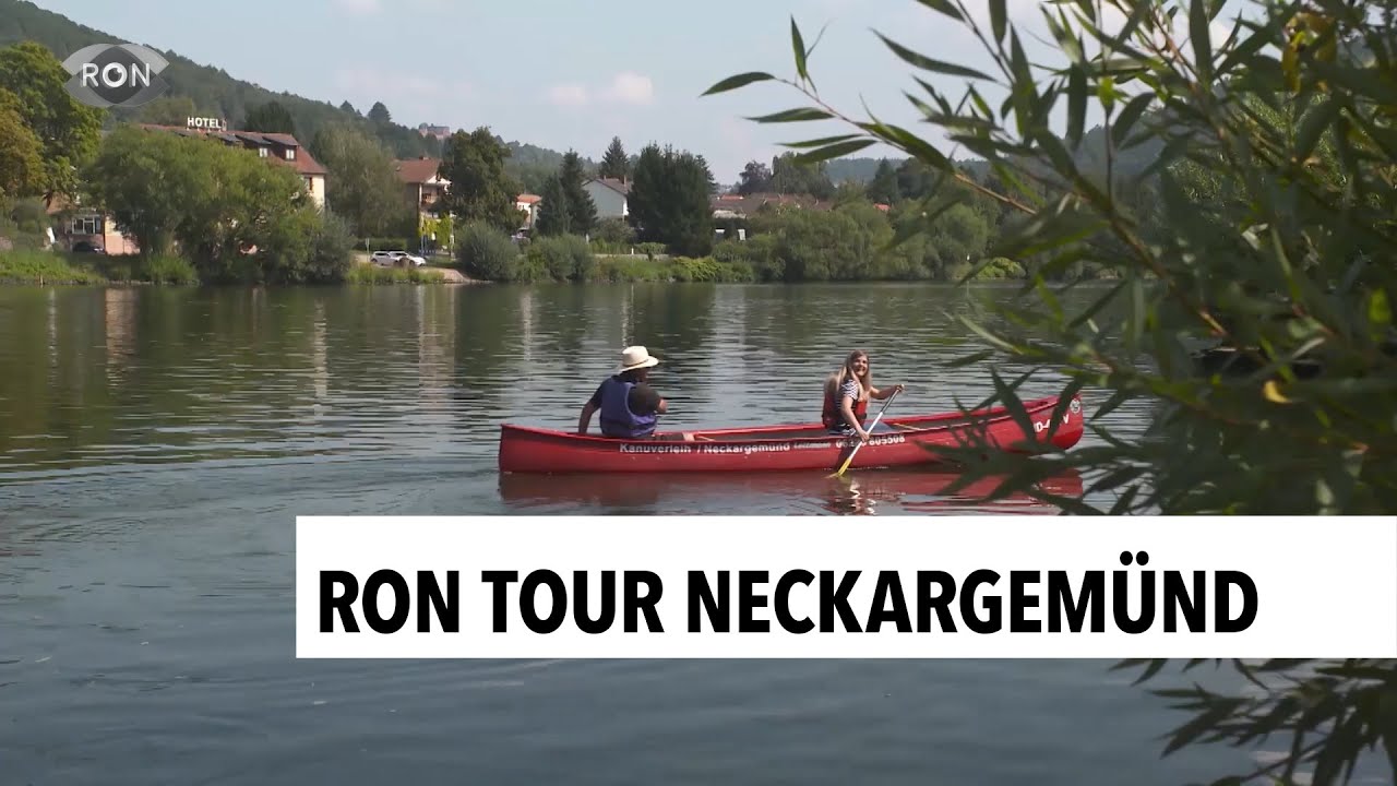 Wo die Elsenz in den Neckar fließt | RON TV |