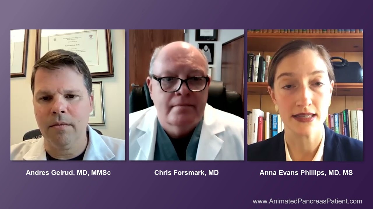 What happens in a chronic pancreatitis nutrition assessment?