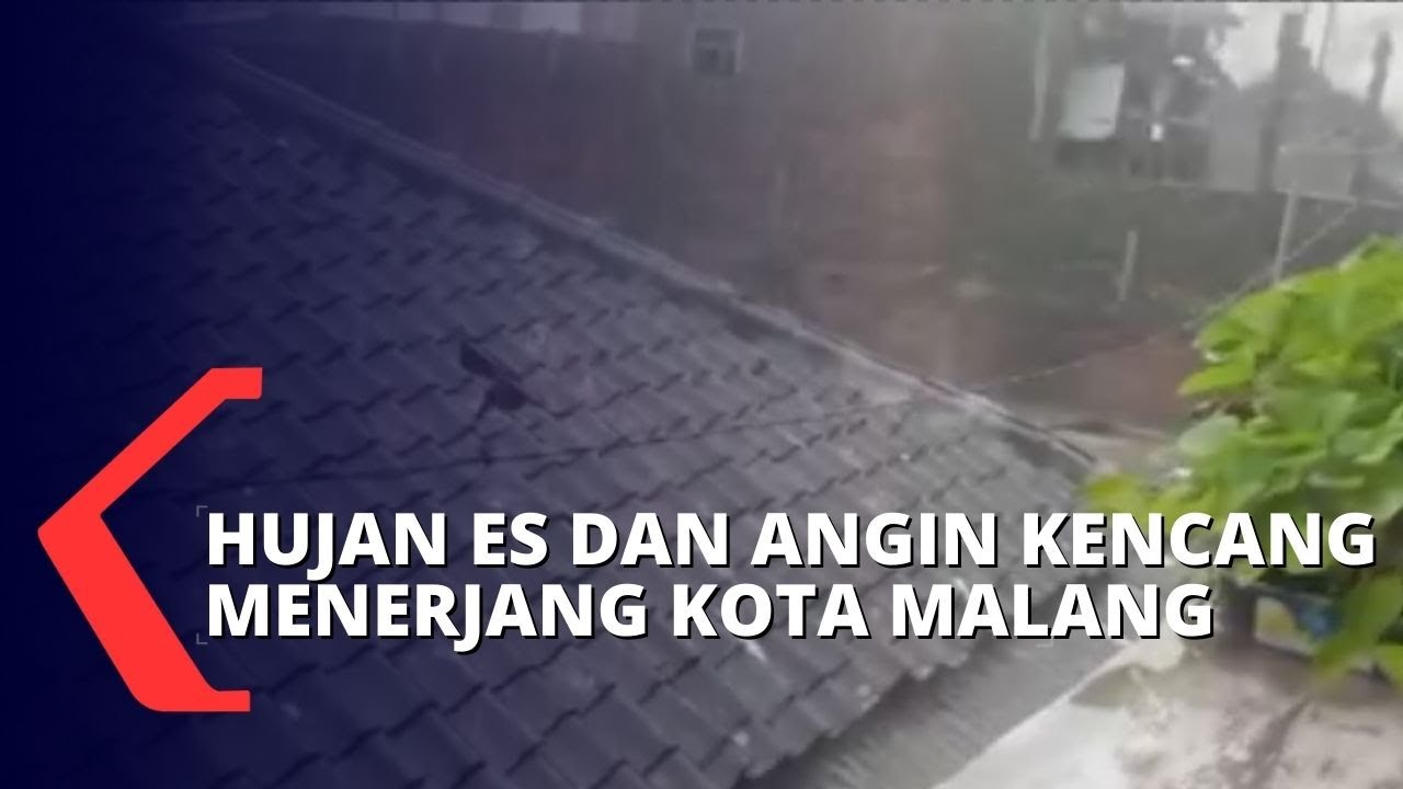 6 Pohon Tumbang Akibat Dahsyatnya Guyuran Hujan Es dan Angin Kencang di Kota Malang