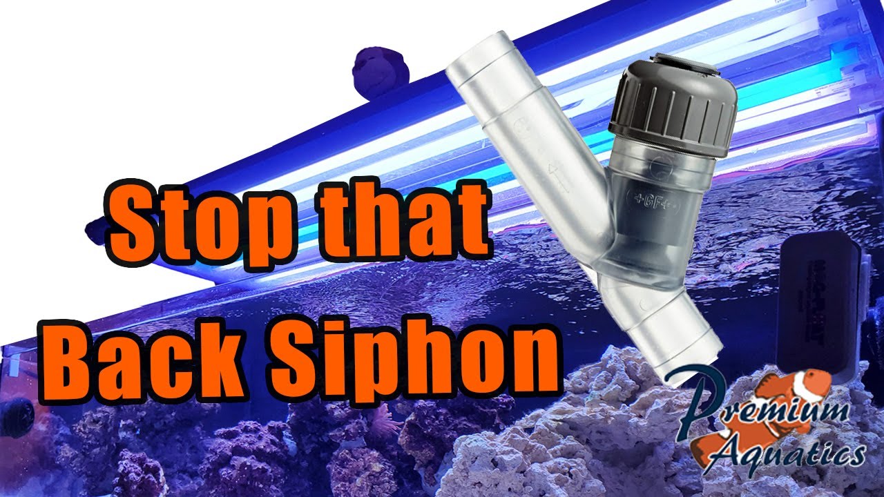 Tank Series - Goodbye Siphon!