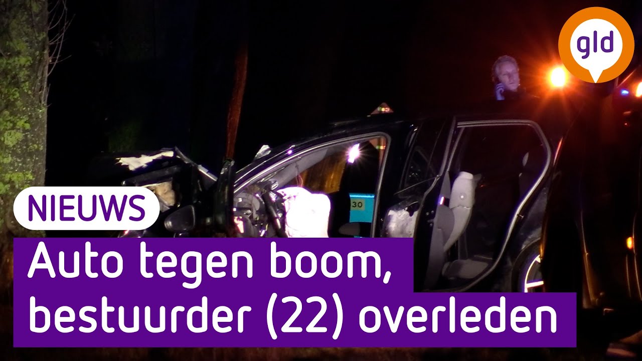 Auto tegen boom, bestuurder (22) overleden
