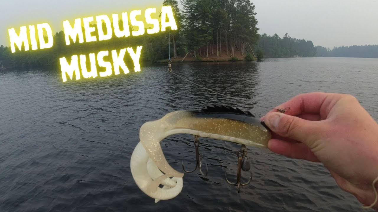 MID MEDUSSA Musky Magic