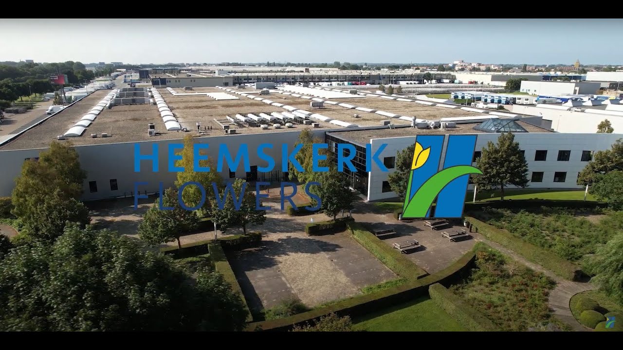 Drone vlucht door Heemskerk Flowers!