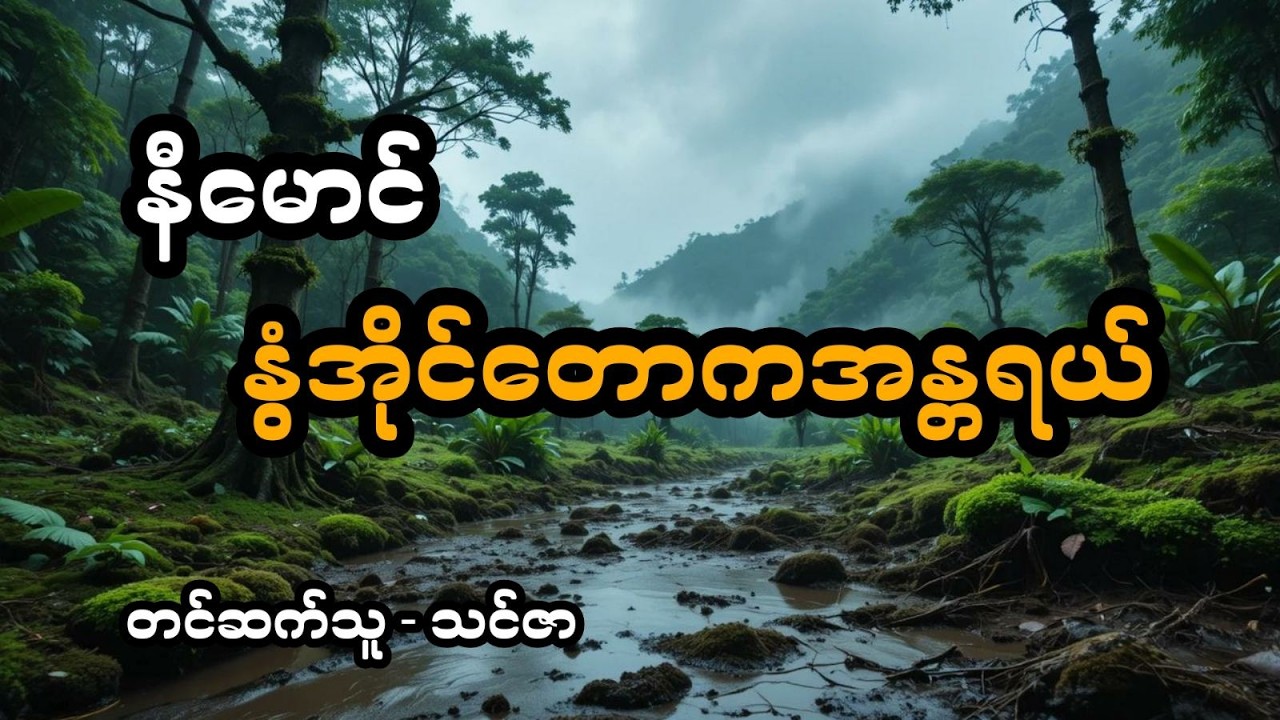 နီမောင် ပါဝင်သော နွံအိုင်တောကအန္တရယ် (အစအဆုံး)
