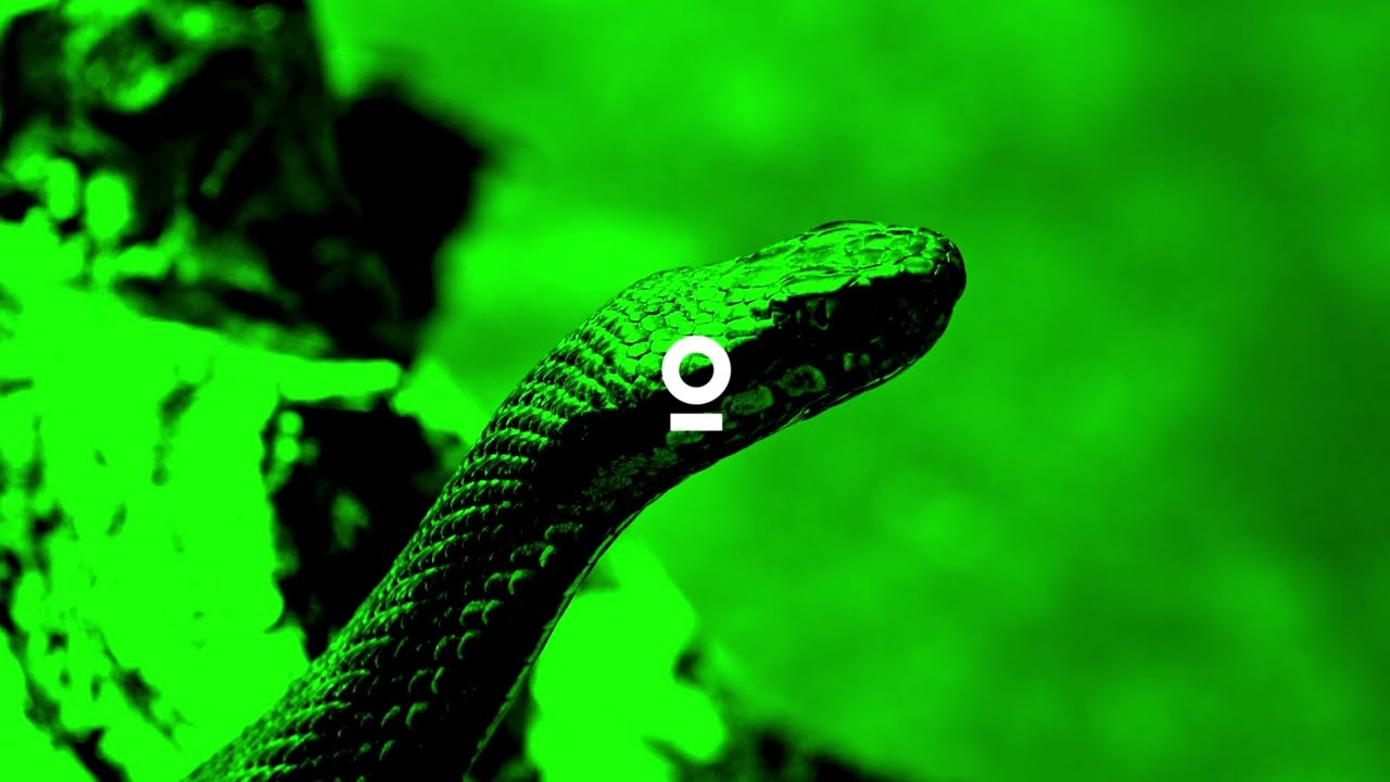 ADDER - VIPER BITE (Official Visualizer)