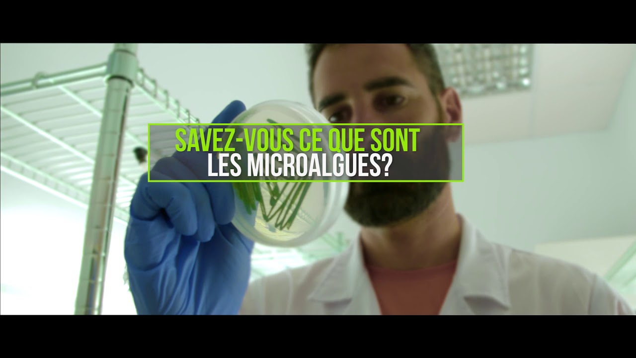 Que savez-vous vraiment sur les microalgues ?