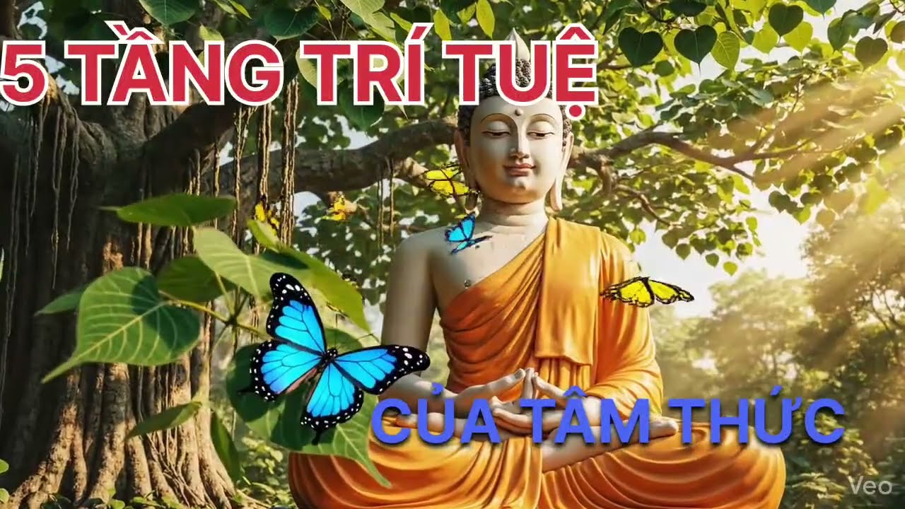 5 TẦNG TRÍ TUỆ CỦA TÂM THỨC 