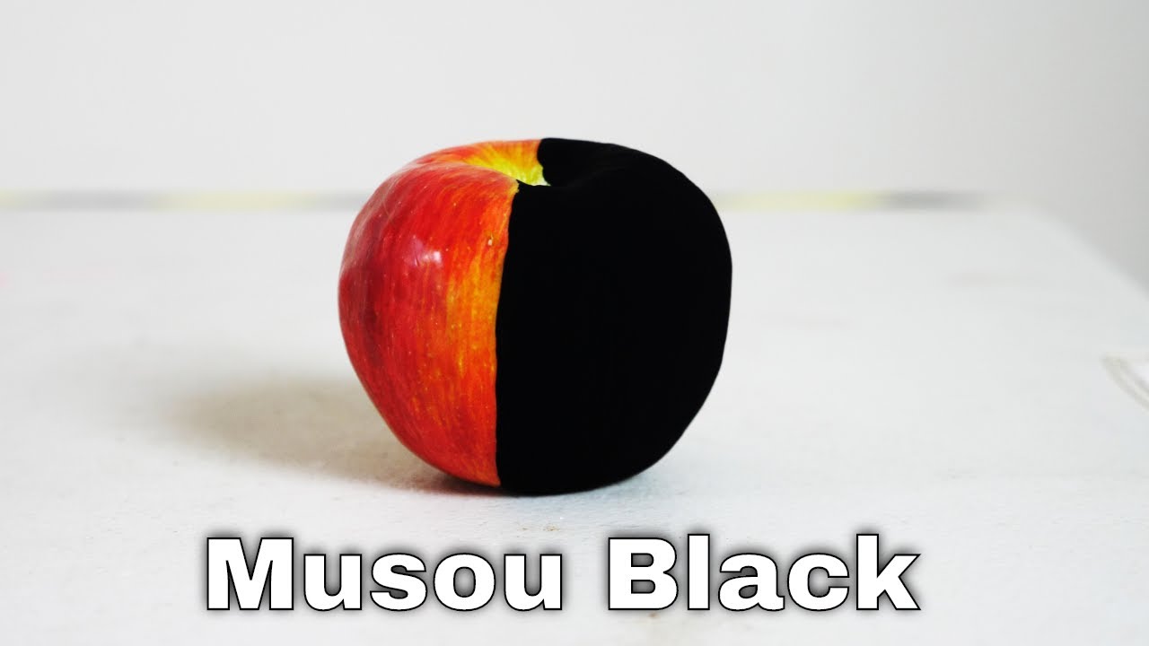 Musou Black&mdash;The (New) World's Blackest Paint Turns Anything Into A Shadow