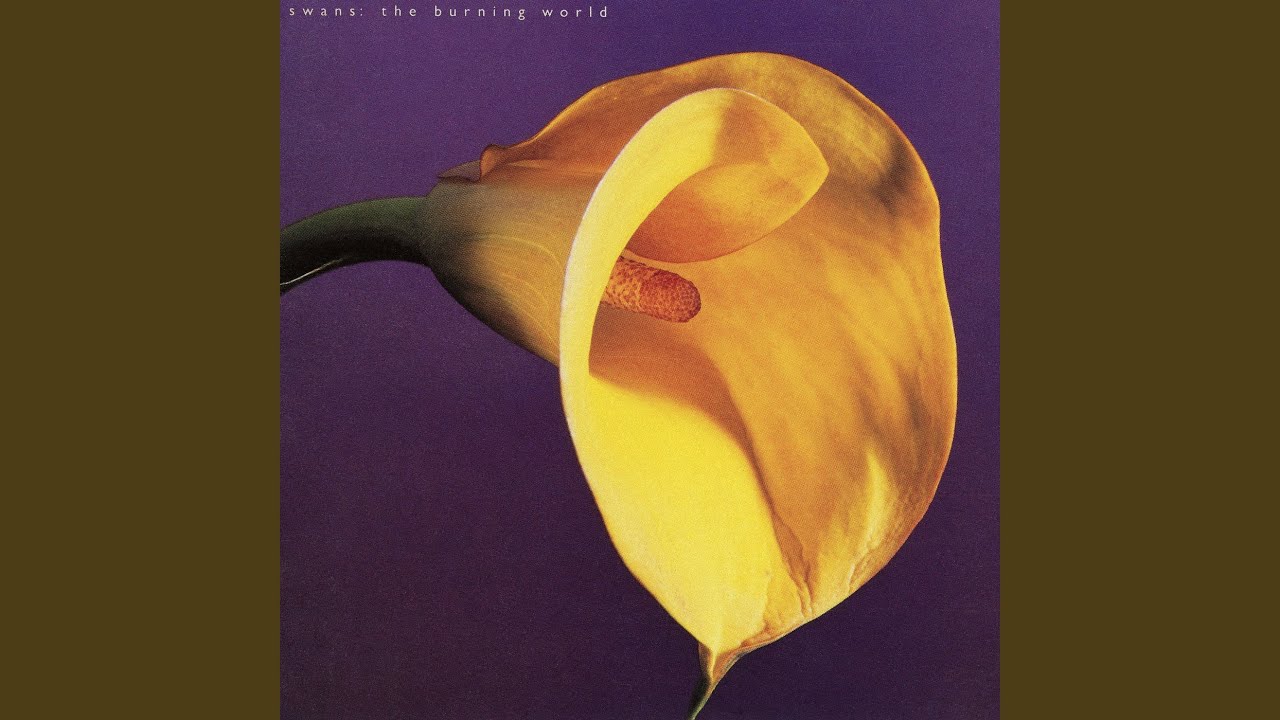 The River That Runs With Love Won't Run Dry