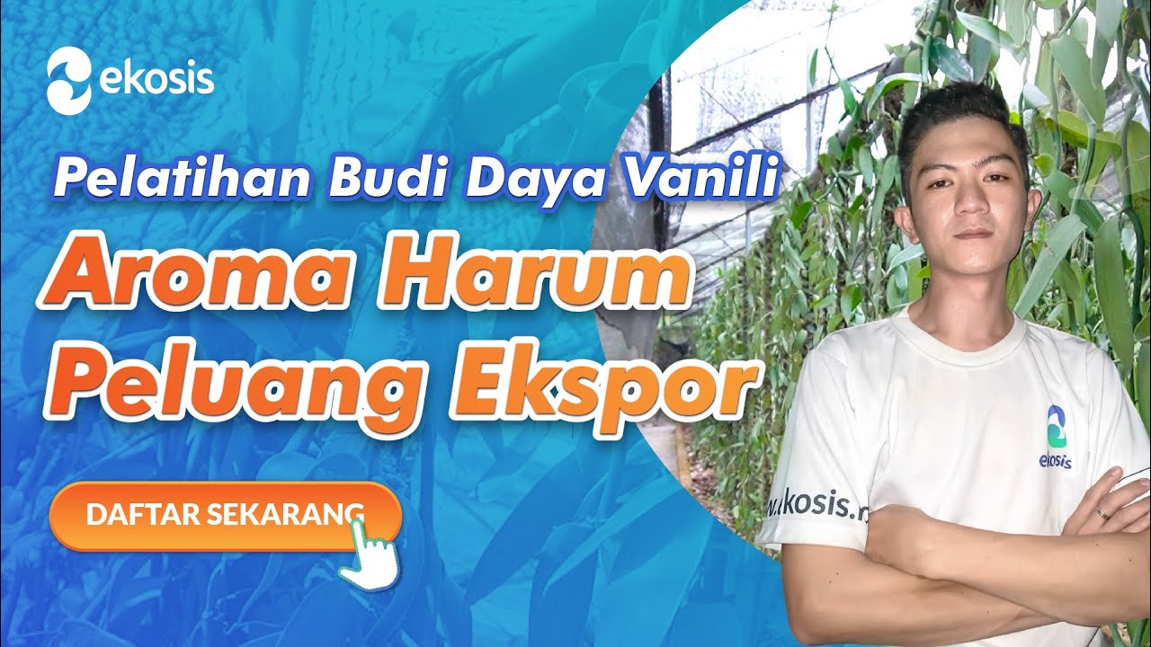 Peluang Bisnis Ekspor Vanili