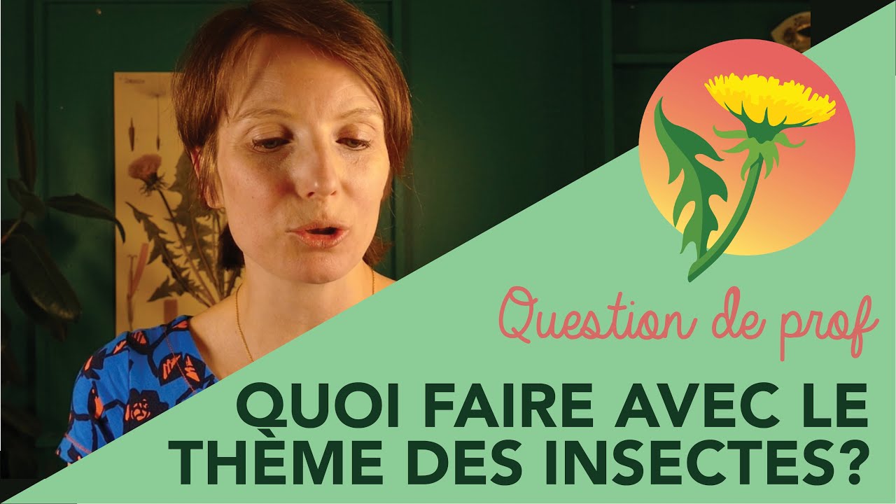 Les insectes : Exercice théâtral facile pour les élèves (à partir de 3 ans)