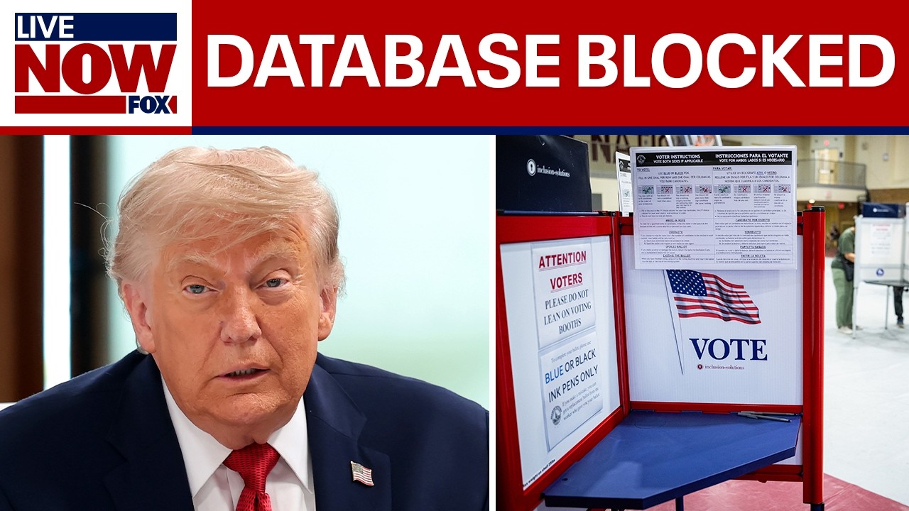 Judge blocks Trump admin's federal voter-screening database
