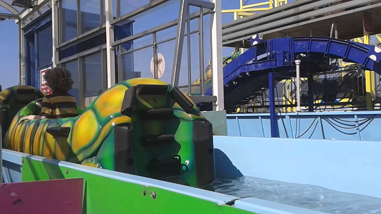 The Turtle Splash