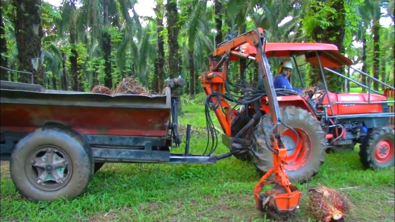 Mesin Canggih Modern - Mesin Canggih di Perkebunan Sawit Colombia