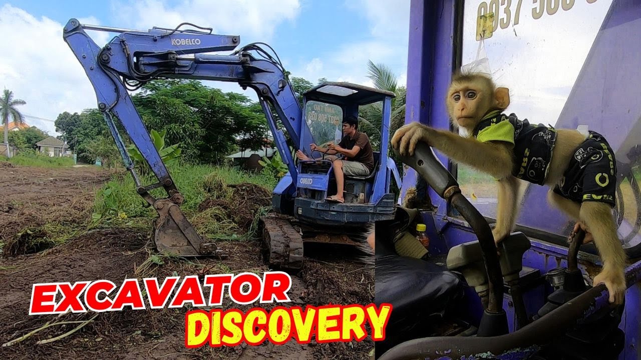 Baby Monkey Bika’s Reaction to Seeing an Excavator for the First Time!