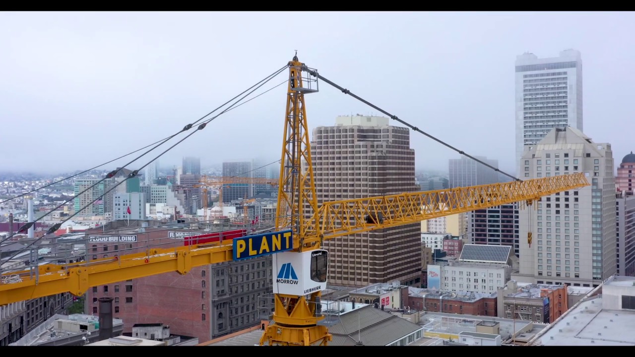Plant Construction Company: There is Hope
