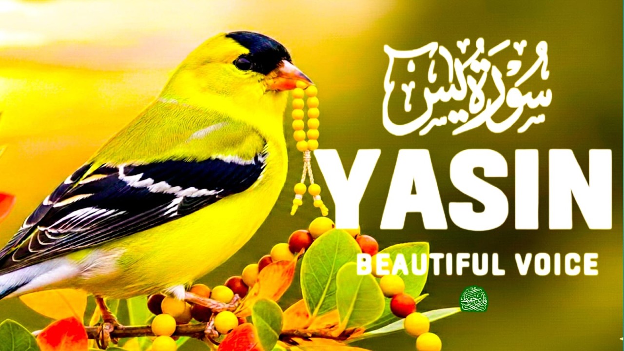 Surah Yasin yaseen (سورة يس) Most Soothing & Heart Touching Quran Recitation for Stress Relief