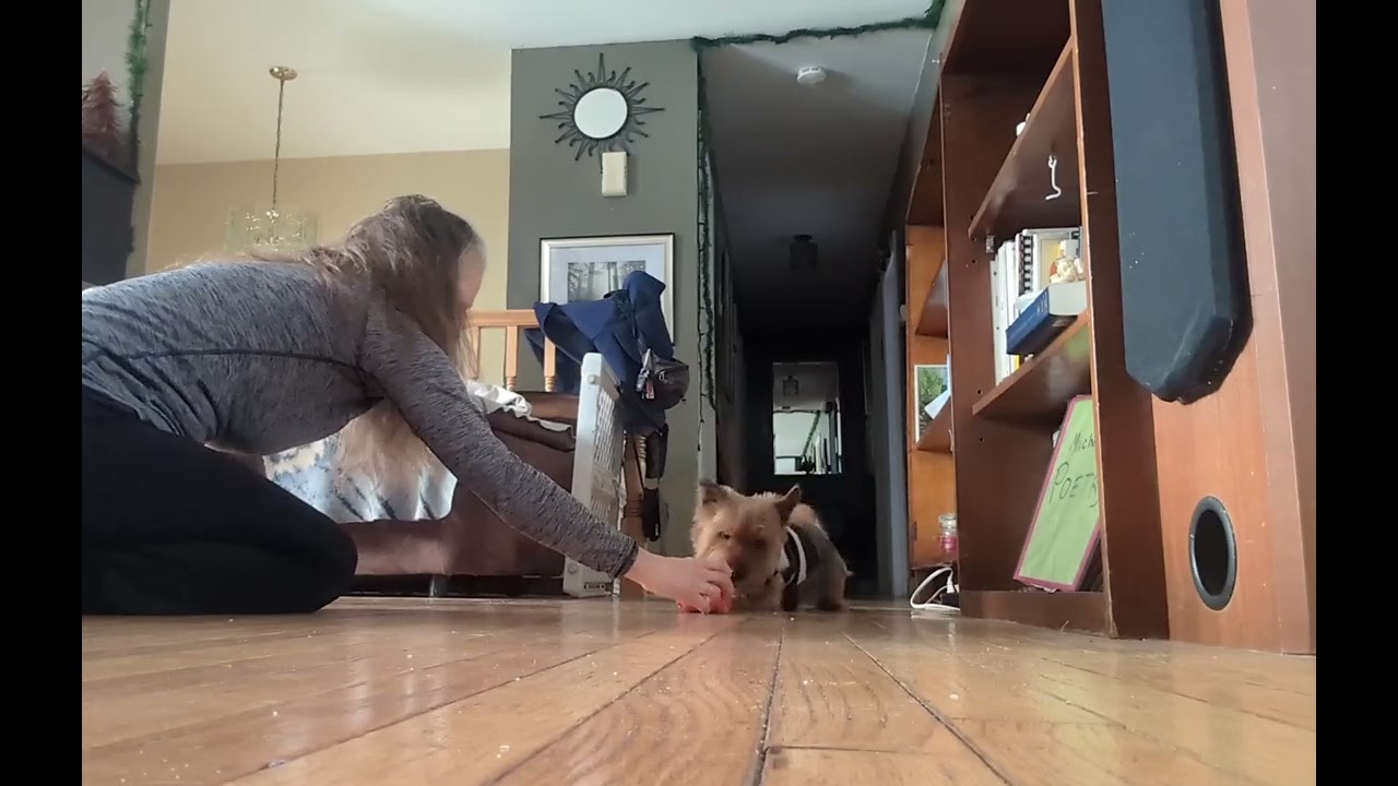 🐶👩🐷2026, Feb 22--Max & silly Michelle (imitating a broken Mrs Piggy lol)