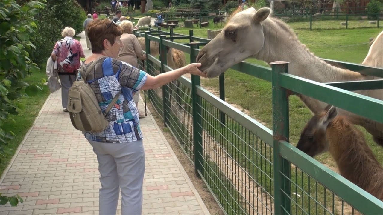 Výlet seniorů na farmu Wenet v Broumově