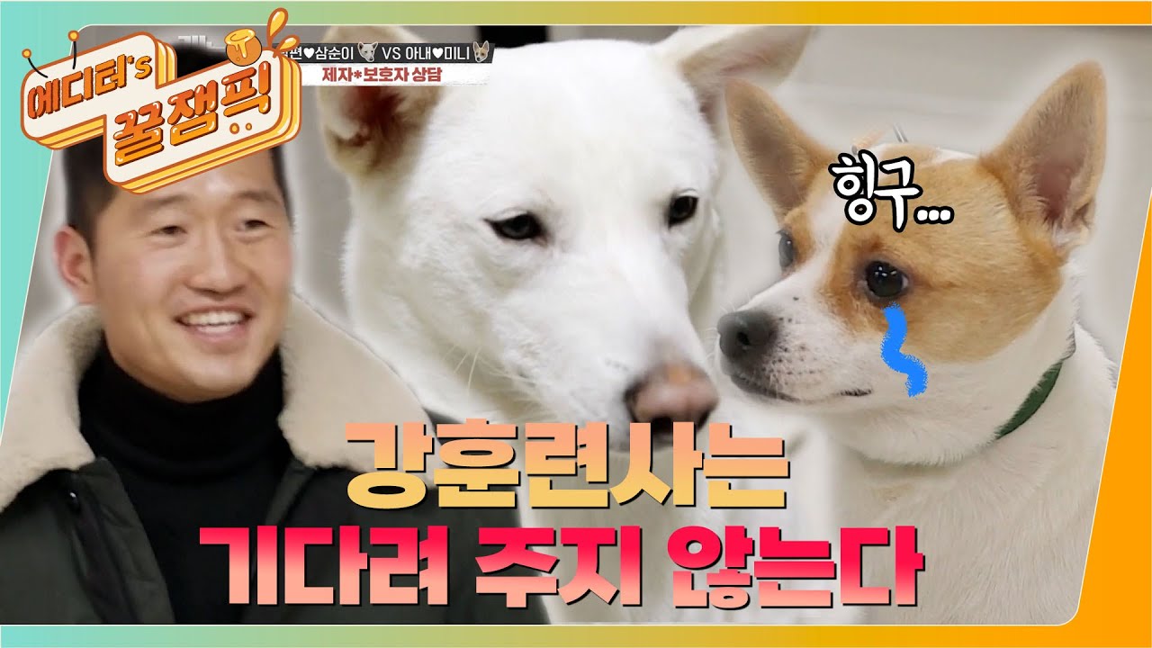 [#개는훌륭하다] 견생 최대 위기! 강훈련사 특단의 조치? 믹스견 '미니' 🐶ㅣKBS 220207 방송