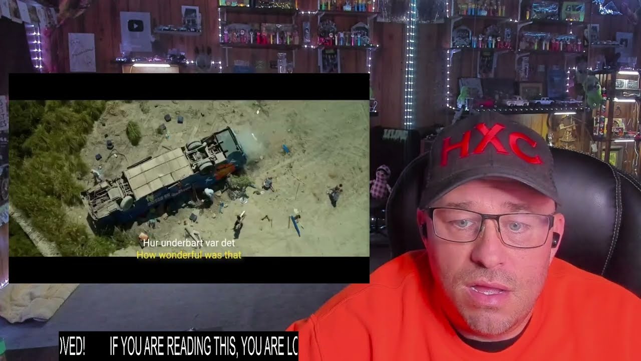 Laleh - En stund på jorden, A man called Ove (2015), Lyrics translation (English meaning) REACTION!