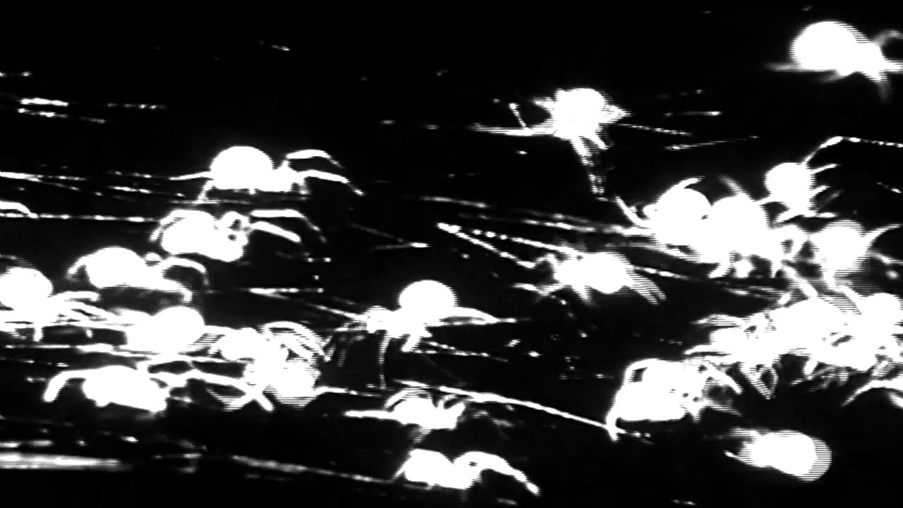 Ay up spider - Eccentronic Research Council (Gaggle DEMIX)