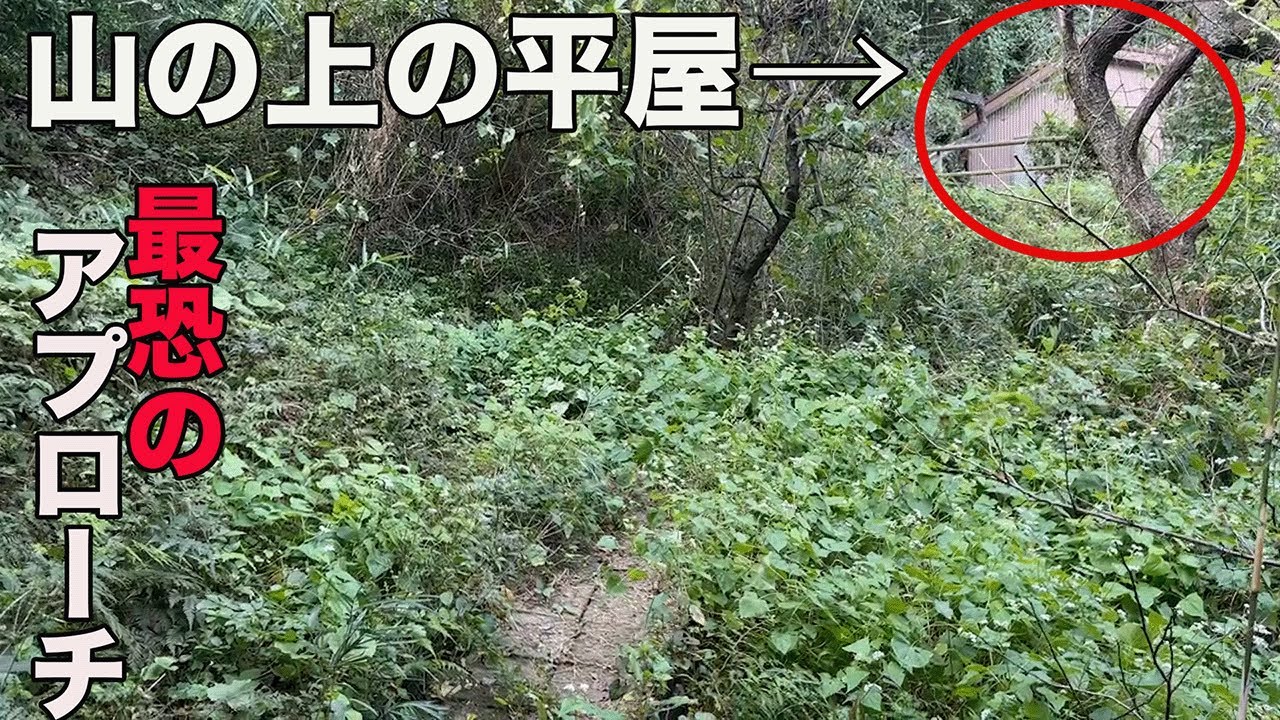 #343【平屋建て】過去1番のすごいアプローチ、ほぼ登山です・・・