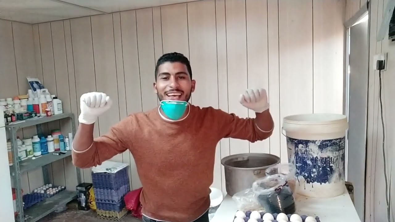 ماذا يحدث للدجاج لو تناول الحبه السوداء والحلبه والجنزبيل والثوم والبصل والدره الاصفر و علف بياض 😱