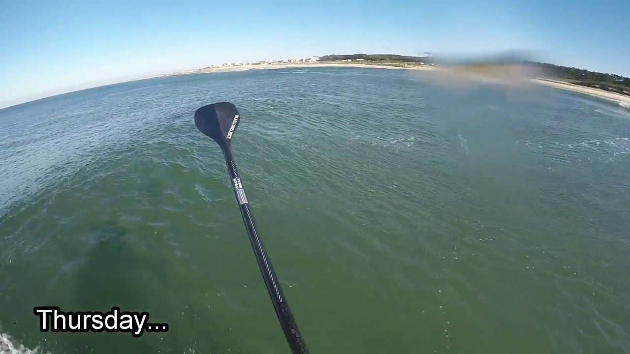 SUP Surfing in Portugal