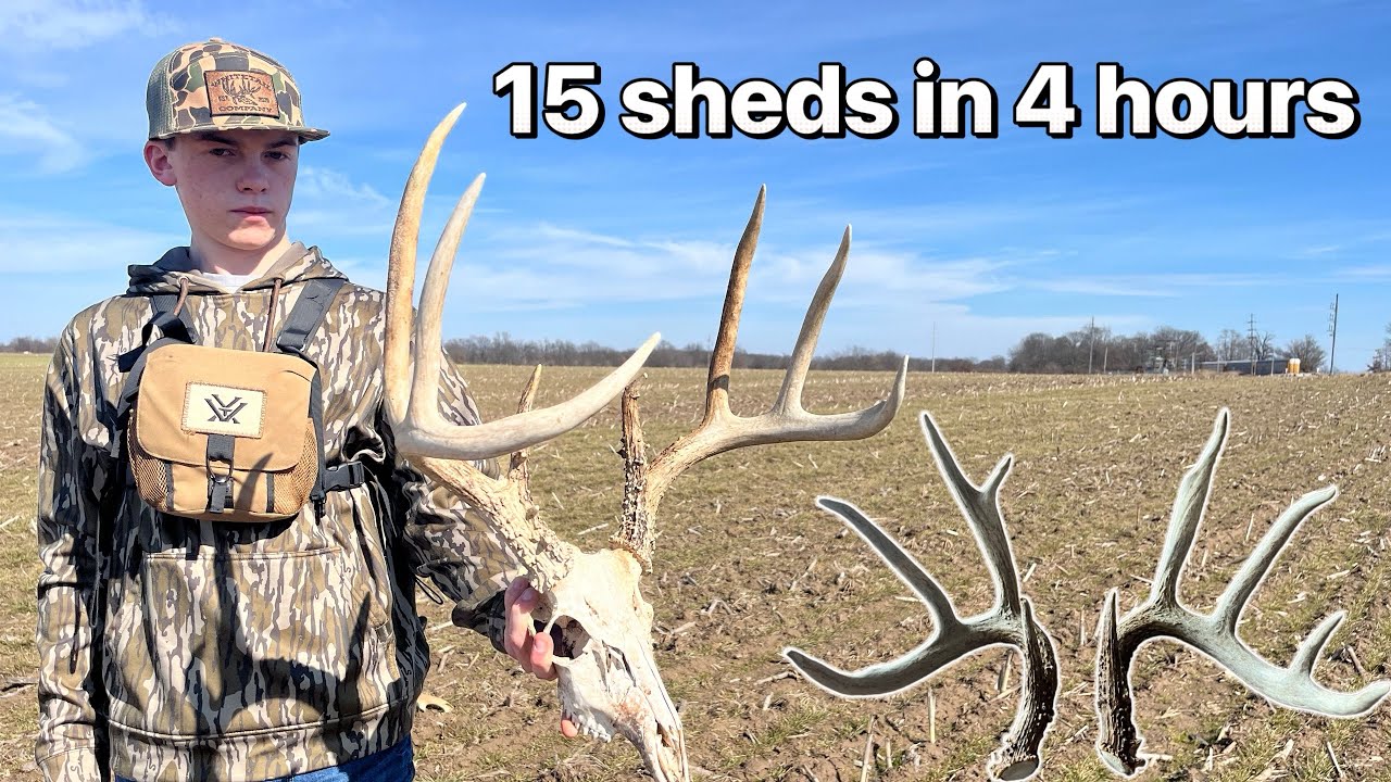 The CRAZIEST Day of SHED HUNTING| 15 Sheds in FOUR Hours| BIG MATCH SETS and DEADHEADS| Shed szn. 26