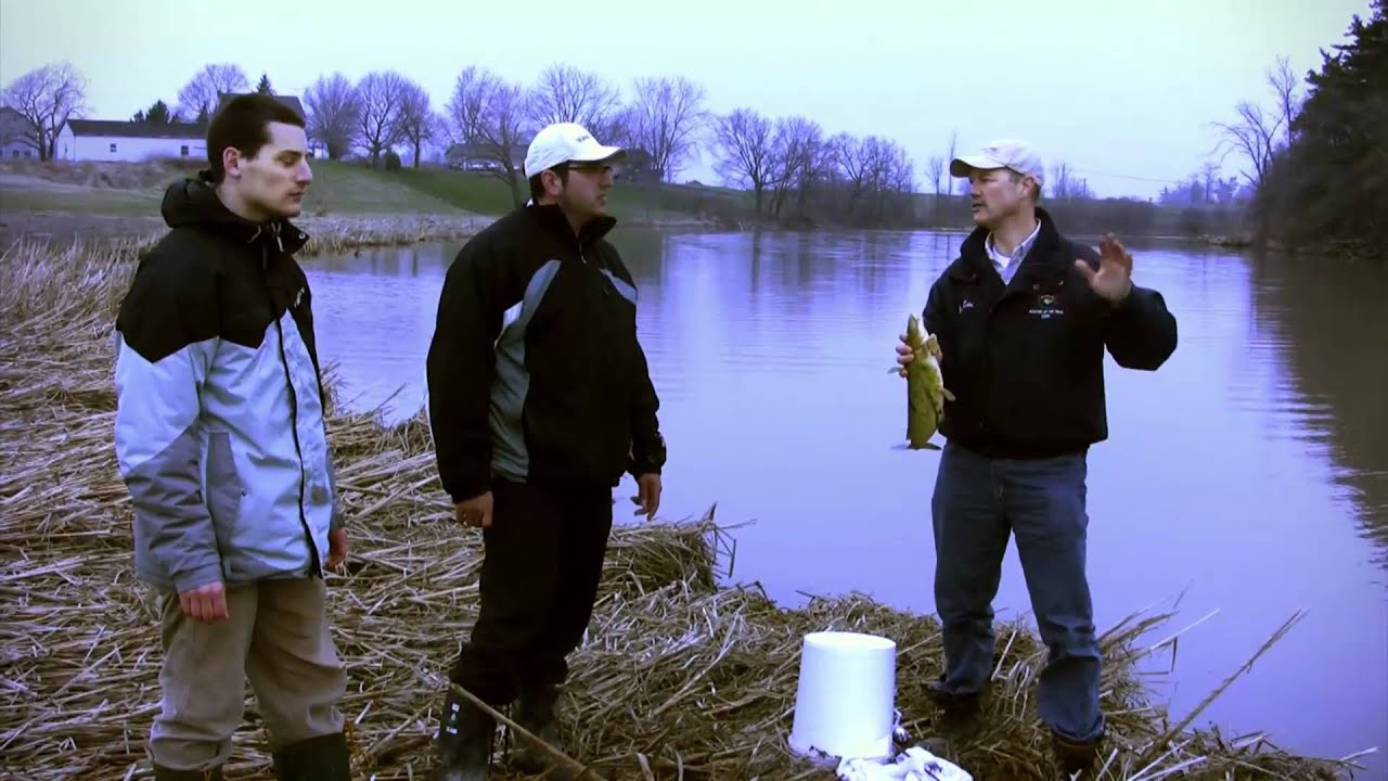 Shore Fishing Tips and Tricks for Channel Catfish