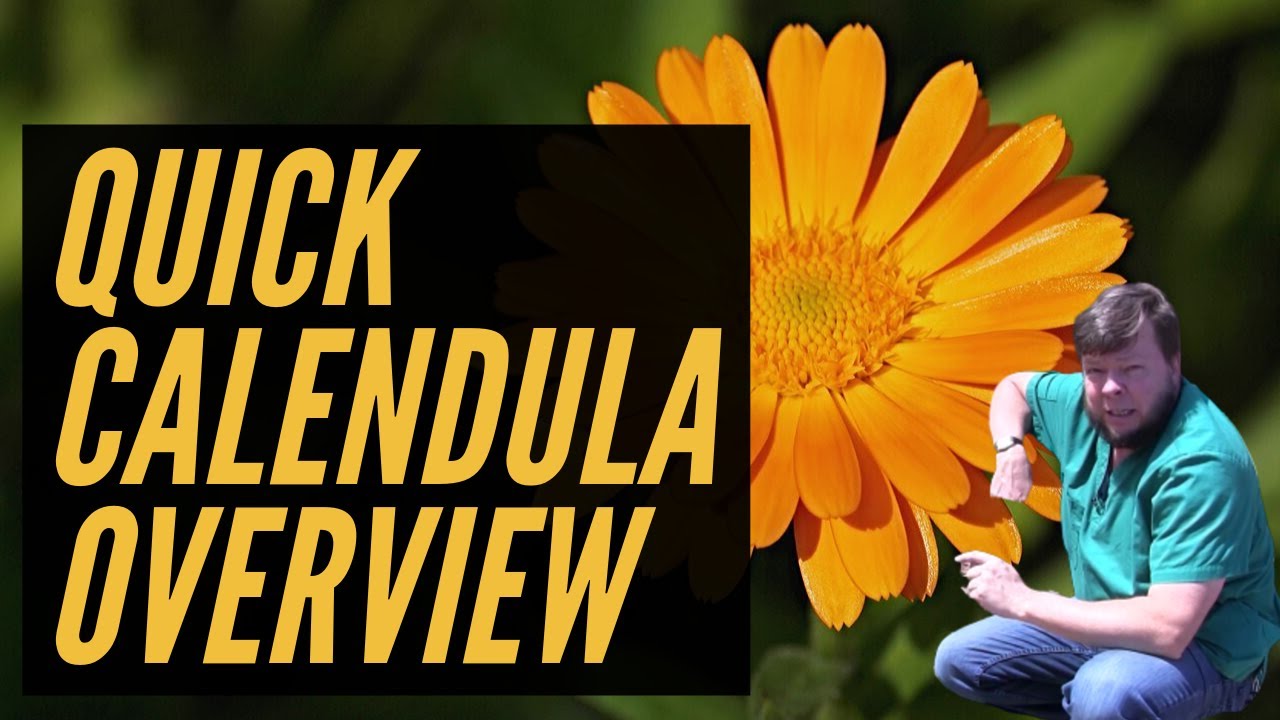 Calendula - 2 Minute Overview!