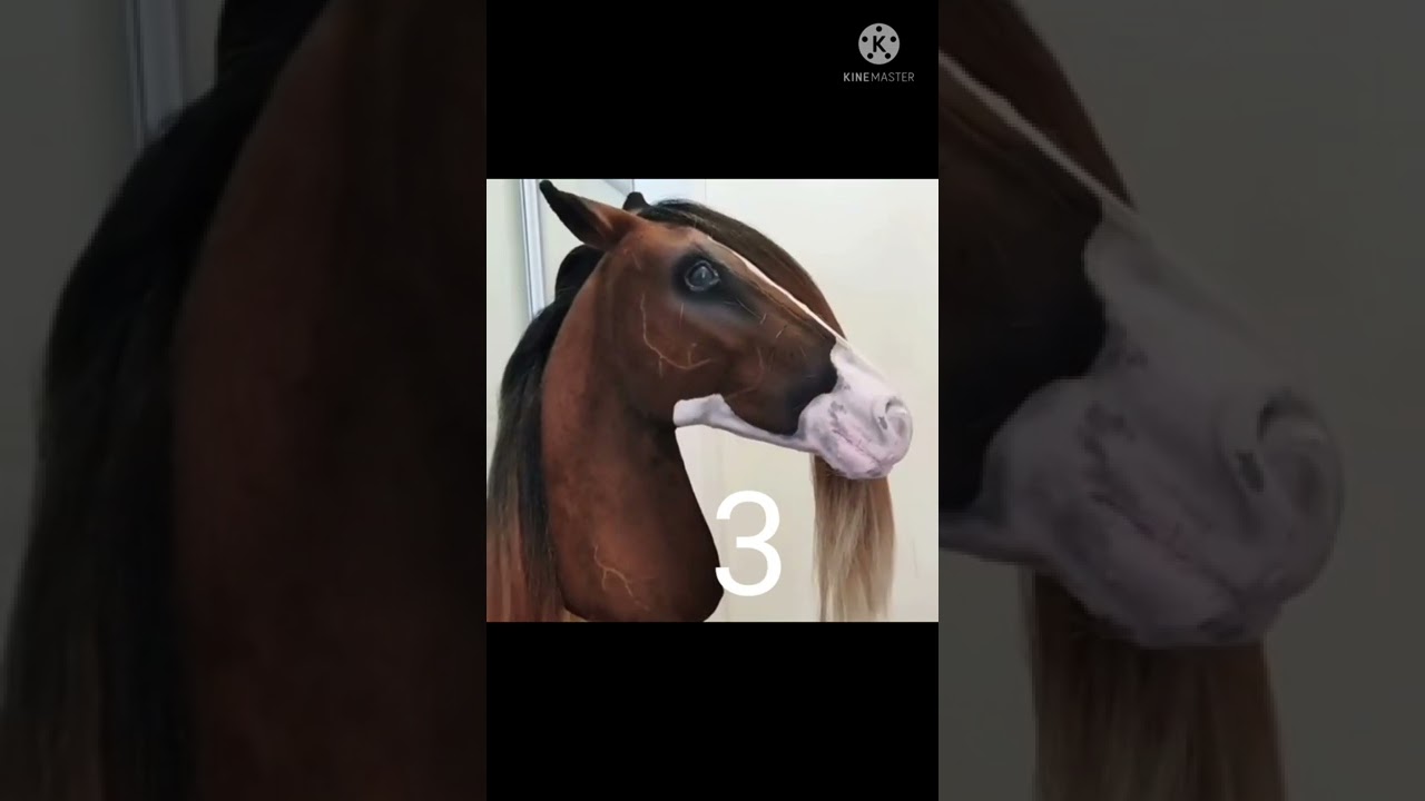 Choose your hobby horse part 4 realistic version!!