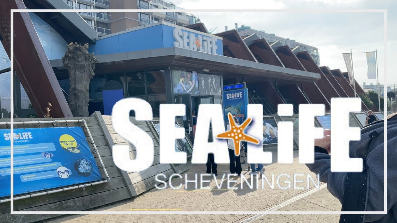 SEA🌟LiFE SCHEVENINGEN, Den Haag, Netherlands