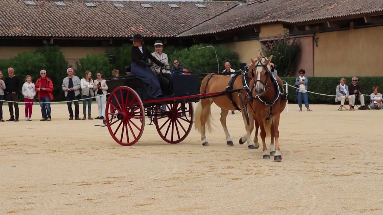 Haras National &agrave; Uz&egrave;s