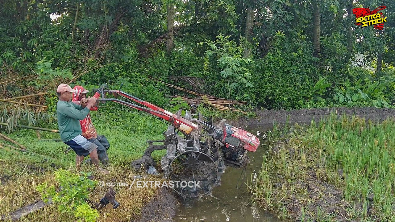 Petak Terakhir! Traktor Sawah Pindahan Lahan Langsung Garap Lahan Baru
