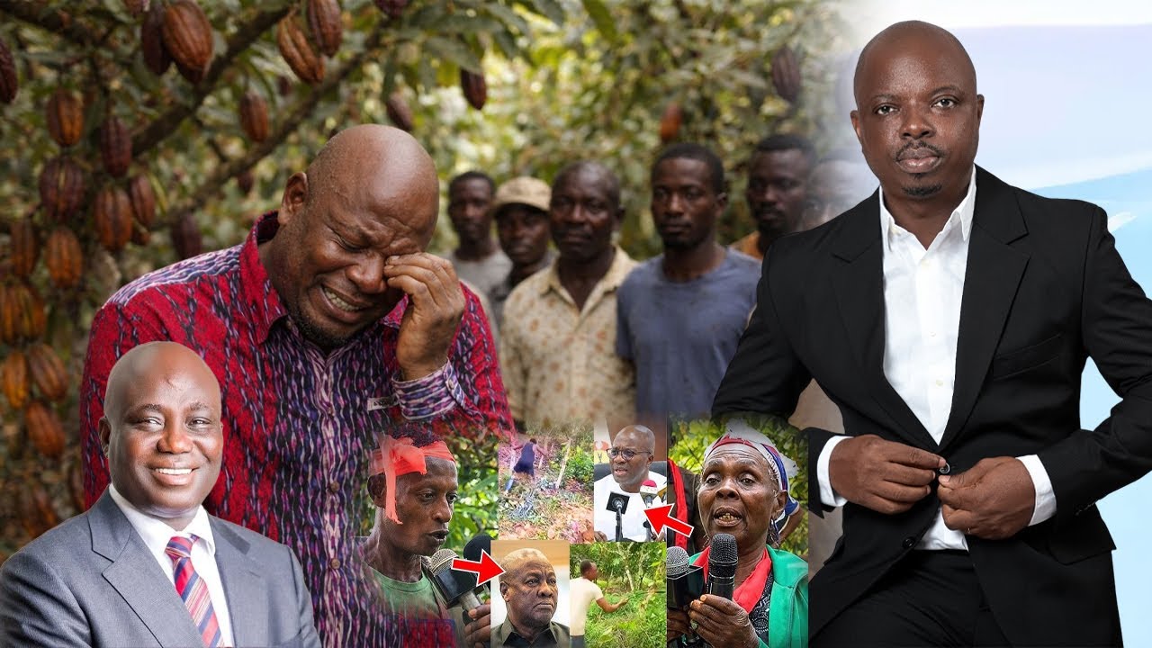 We sold Our cocoa farms to Galamysers, Cocoa farmers threatens