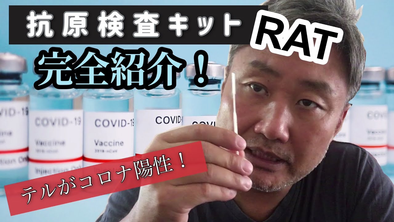 テルがコロナ陽性！抗原検査キット（RAT）を詳細解説します
