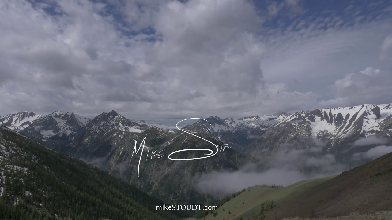 mikeSTOUDT - VisSonic Logo #1