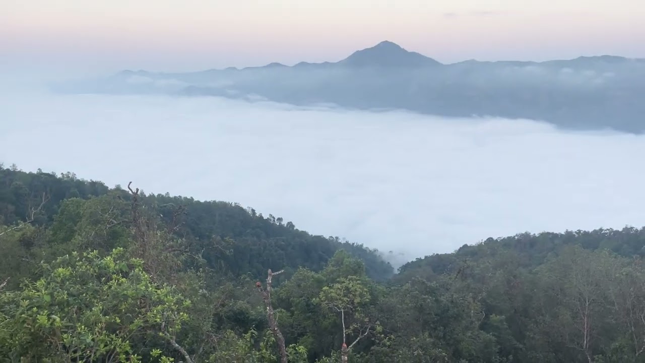 Sa Mai  pú chả 