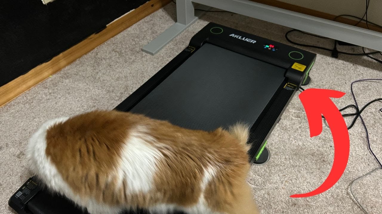 Full in Depth Breakdown and Testing Akluer Walking Pad