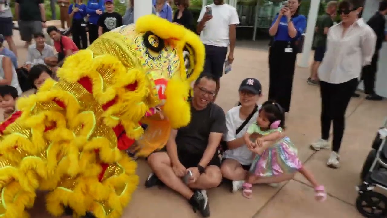 Lion Dance NSW Art Gallery