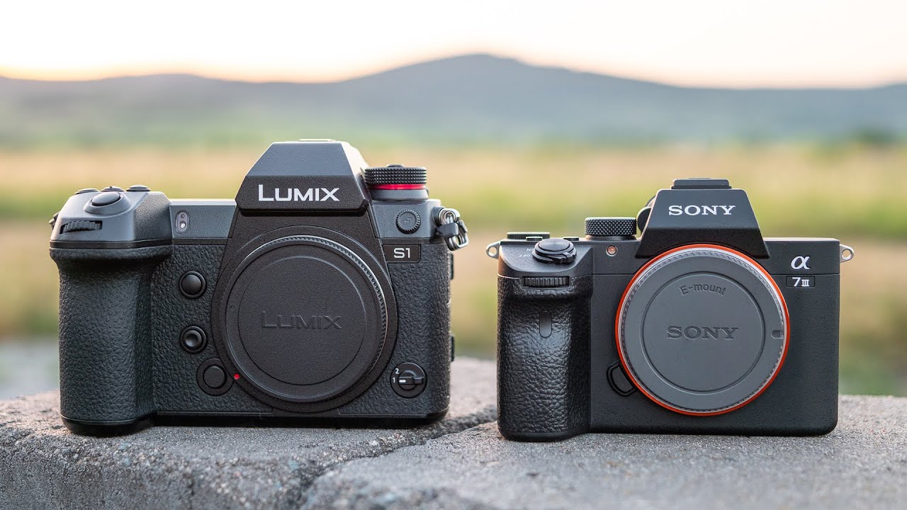 Sony A7III против Panasonic S1 — сравнение гибридных полнокадровых камер