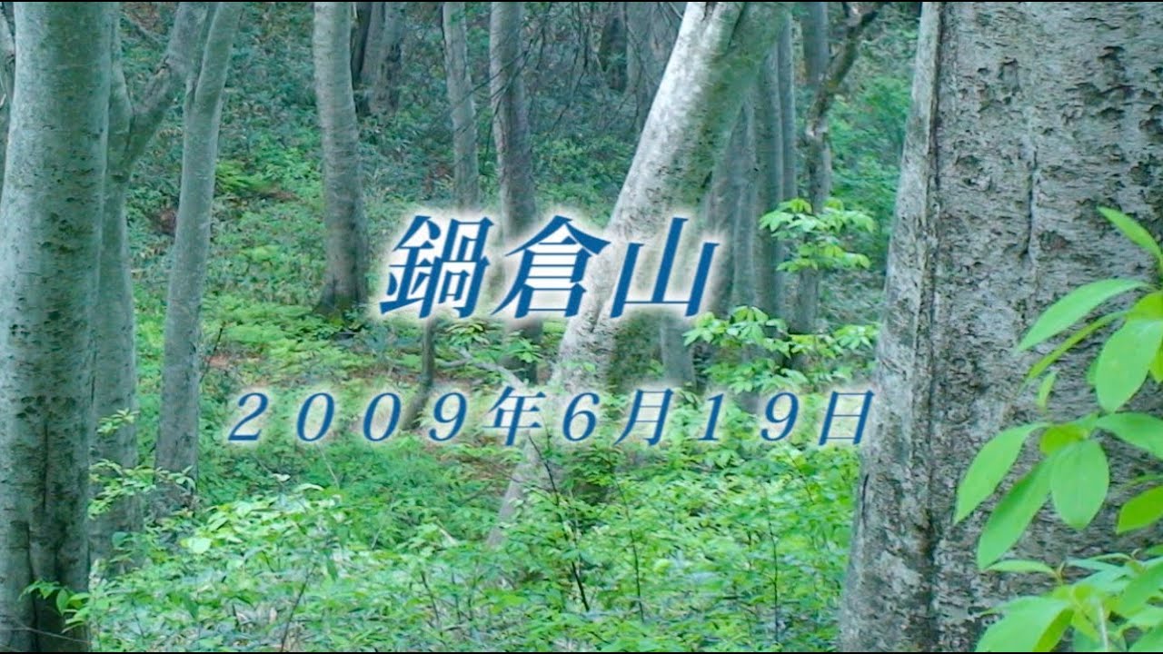 120 上信越 鍋倉山6月 2009年6月19日 - 生物多様性体験保全センター 高山植物を主とした野生植物の映像集