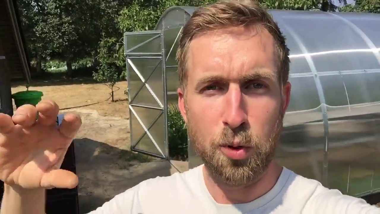 SÅDAN FIK JEG HURTIGT TJENT DRIVHUSENE HJEM IGEN