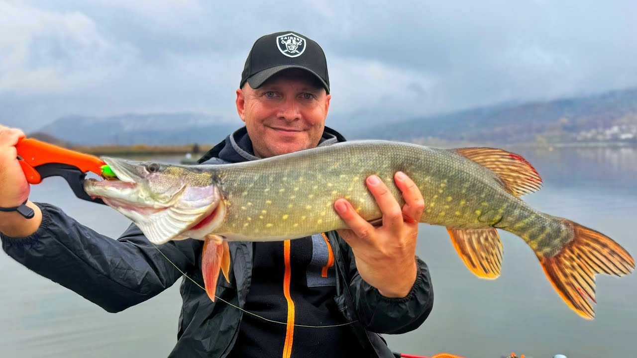Pescuit la știucă pe Olt 06.11.2025 ( prima parte) #fishing #spinning #pikefishing 