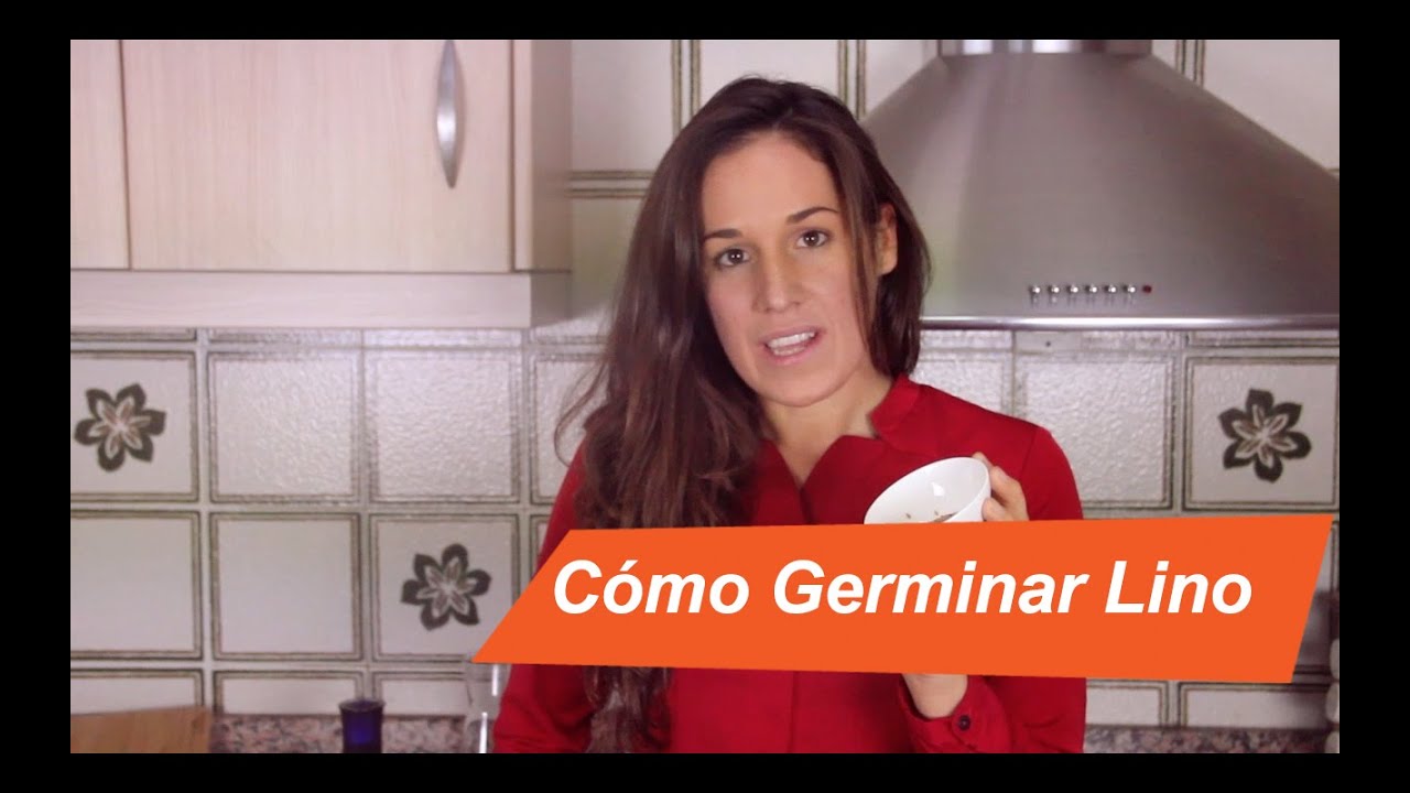 Semillas de Lino/Linaza (Propiedades y Activación)/ Flaxseed, properties and activation