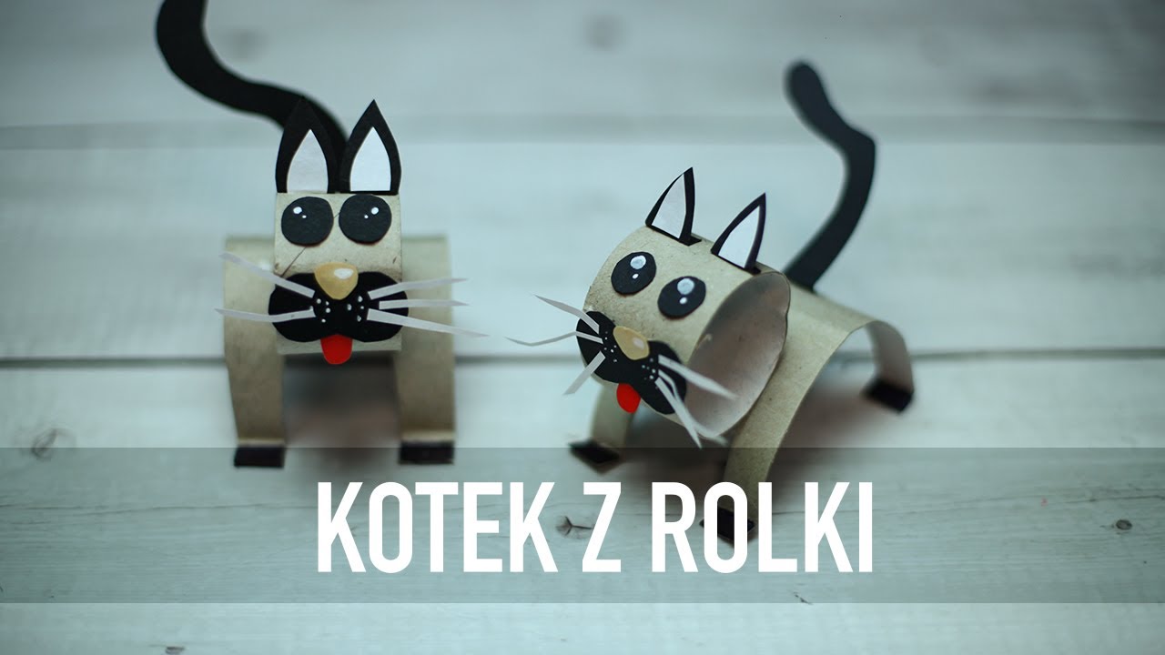 KOT Z ROLKI PO PAPIERZE! PAPIEROWY KOTEK