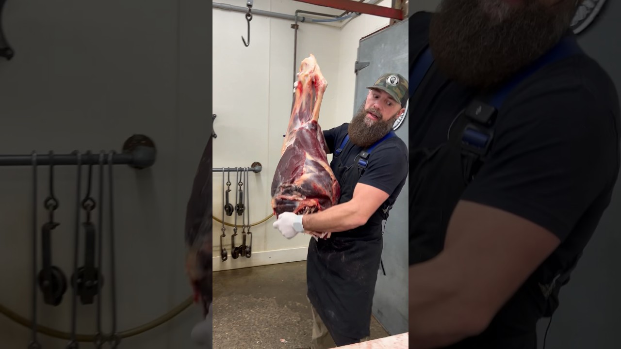 Breaking down a Bison round 🦬🔪🥩 